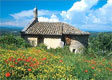 Paradis en Provence - Tourism