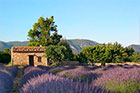 Paradis en Provence - Aix en Provence