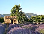 Paradis en Provence - Provence